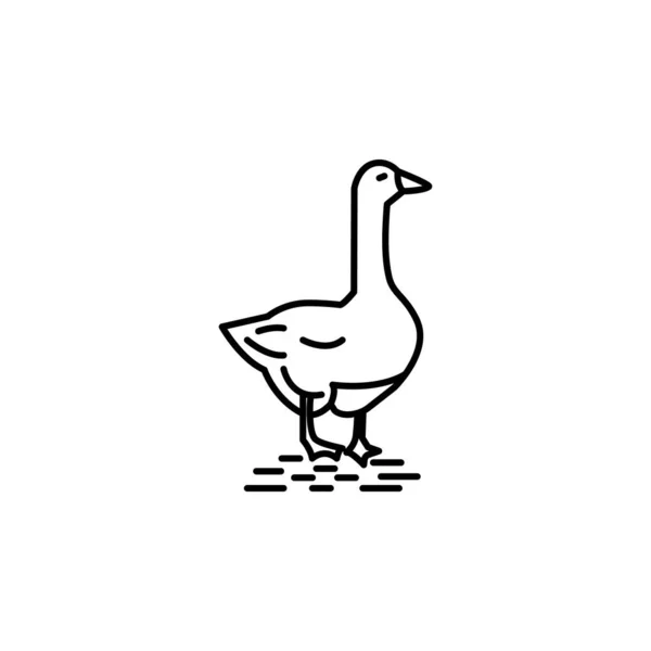 白色背景上的鹅线插图图标 标志和符号可用于Web Logo Mobile App — 图库矢量图片