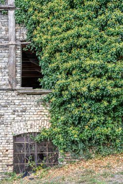 Kaub 'daki eski bina pencereleri Ren Vadisi, Almanya