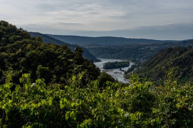 Ren Vadisi 'nin ortasındaki Rheinsteig patikasında yürüyüş, Almanya 