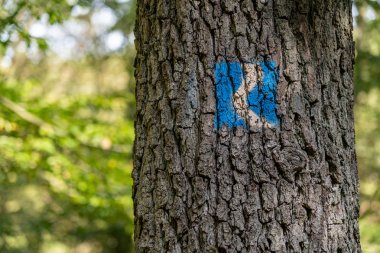 Ren Vadisi 'nin ortasındaki Rheinsteig yürüyüş yolunun sembolü.