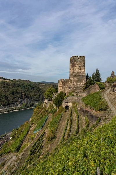 Gutenfels kastély rheinsteig nyomvonal a középső orrszarvú-völgyben, — Stock Fotó