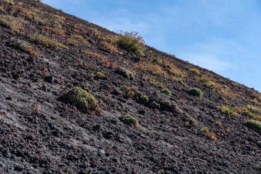 Sicilya Adası yakınlarındaki etna volkanı, İtalya