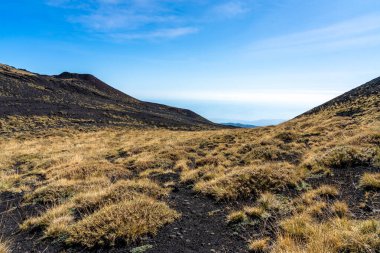Çöldeki çayırlar Sicilya adasındaki Messina yakınlarındaki etna volkanı.