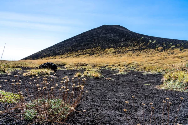 Pastizales en el desierto en el volcán etna cerca de messina en la isla sicily — Foto de Stock