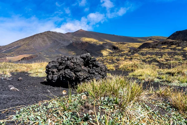 Primer plano de una piedra con pastizales en el desierto en el volcán etna cerca — Foto de Stock