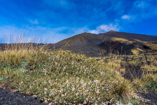 Pastizales en el desierto en el volcán etna cerca de messina en la isla sicily — Foto de Stock