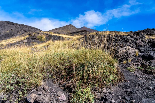 Grasland no deserto no vulcão etna perto de messina na ilha da Sicília — Fotografia de Stock