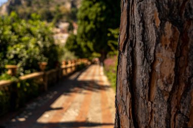 Sicilya Adası, İtalya 'daki Taormina' daki Akdeniz Bahçesi.
