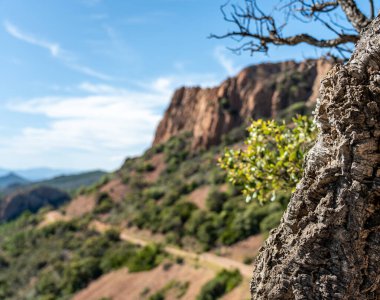 Capitol Roux yürüyüş yolunun manzaralı manzarası Doğunun kırmızı kayalıklarında