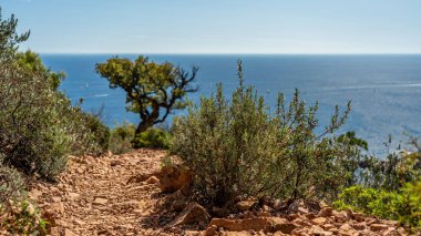 Esterel dağlarındaki kırmızı kayalıklarda yürüyüş parkurunda 