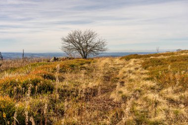 wasserkuppe tepesindeki medows, Rhoen 'deki plato, hesse Almanya