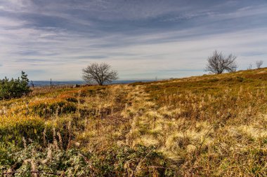 wasserkuppe tepesindeki medows, Rhoen 'deki plato, hesse Almanya