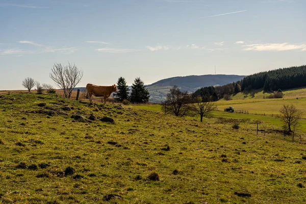 Medows en wasserkuppe pico meseta en roen, hesse germany — Foto de Stock