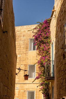 Antik şehir Mdina 'daki caddelerin manzarası, Malta Adası