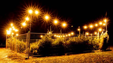 Kapalı Noel ağacı satış yeri