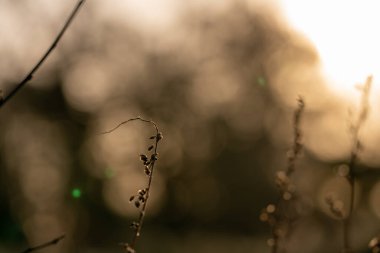 Köprüdeki ünlü balık çörekleri Hamburg, Almanya 'da.
