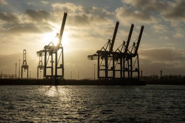 Hamburg liman turnaları zürafaya benziyor, Almanya
