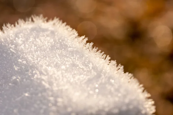 Ghiaccio Cristallo Legno Piante Inverno — Foto Stock