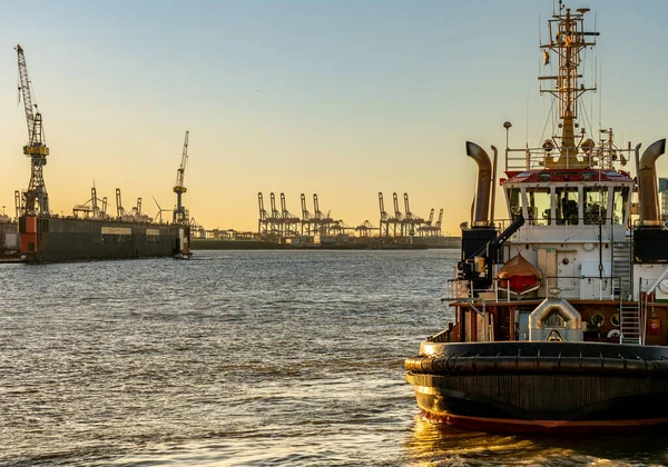 Köprüdeki ünlü balık çörekleri Hamburg, Almanya 'da.