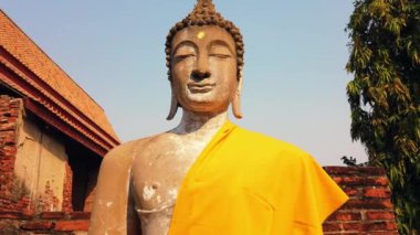 Ayutthaya, Tayland 'daki tapınakta Buda heykeli