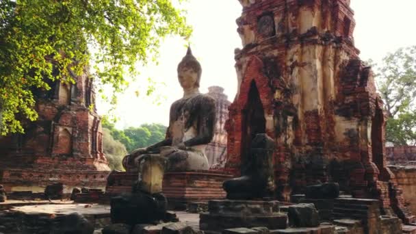 Όμορφο Άγαλμα Του Βούδα Στην Ayutthaya Ταϊλάνδη — Αρχείο Βίντεο