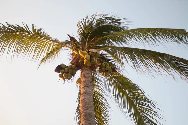 Mavi gökyüzü ve bazı bulutlar Huatul 'da aydınlık bir gün.