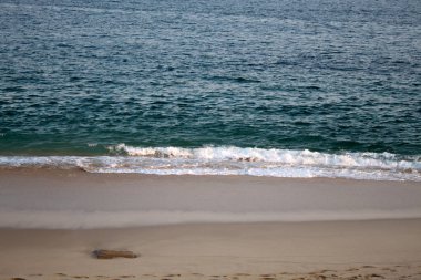 Güneşli sahil ve berrak okyanus