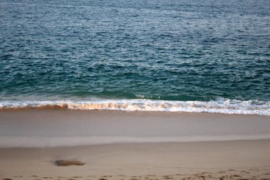 Güneşli sahil ve berrak okyanus