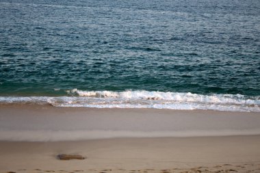 Kumsal günü hindistan cevizi suyu ve güneşli.