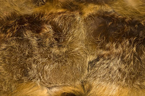 Fur Background Texture Fur Red Steppe Fox — Stock Photo, Image