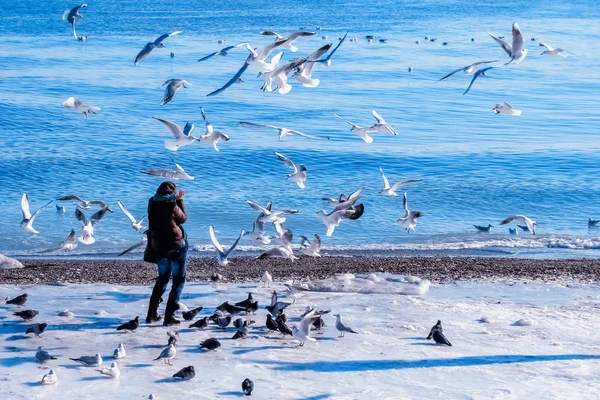 Kız yüzünü kış kumsalındaki aç martı sürüsünden koruyor.                       