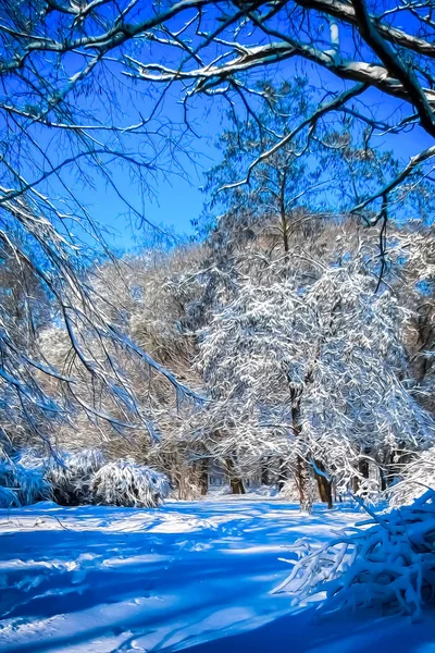 Noel arkaplanı. Kış parkında karlı çayır.                           