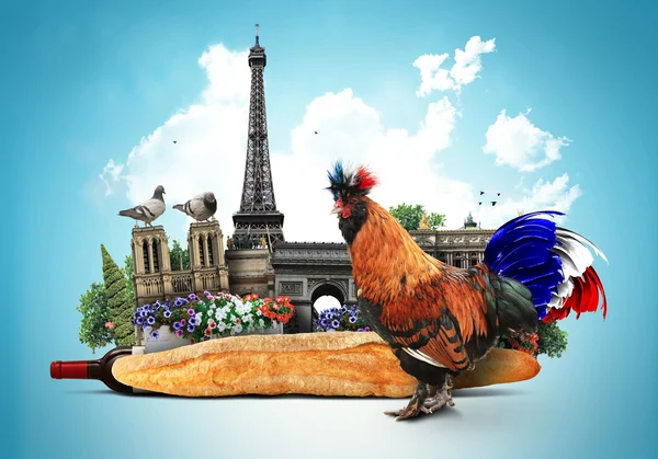 Francia, gallo de color francés — Foto de Stock