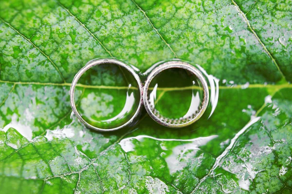 Свадебные Кольца Зеленом Листе Капельками Воды Вид Сверху Макрос Крупный — Бесплатное стоковое фото