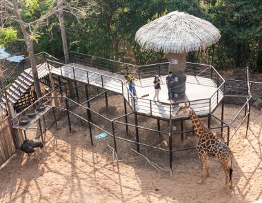 KHON KAEN : khon kaen zoo (Kao Suan Kwang Zoo) on March 08, 2018, in Thailand.This Zoo on the hill.