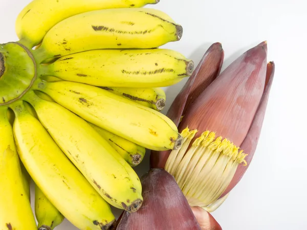 Цветение Банана Банана Белом Фоне — стоковое фото