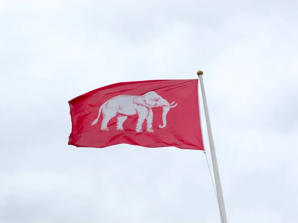 Siamská Vlajka Bílý Slon Pozadí Modrého — Stock fotografie