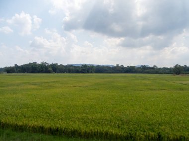 Çayırlar ve tarlalar Gökyüzünde bulutlar var