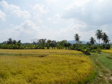 Çayırlar ve tarlalar Gökyüzünde bulutlar var