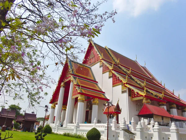 在Ayutthaya的Wihan Phra Mongkhon Bophit已经修复得很好了 Phra Mongkhon Bophit — 图库照片