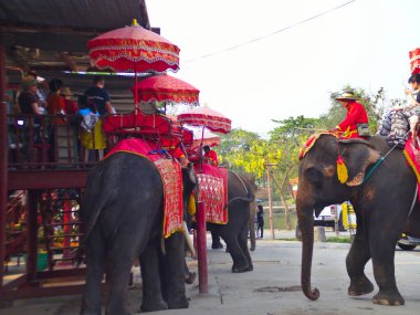 AYUTTHAYA THAILAND-28 Şubat 2019 Ayutthaya Fil Sarayı & Kraliyet Kraali. AYUTTHAYA THAILAND-28 Şubat 2019.