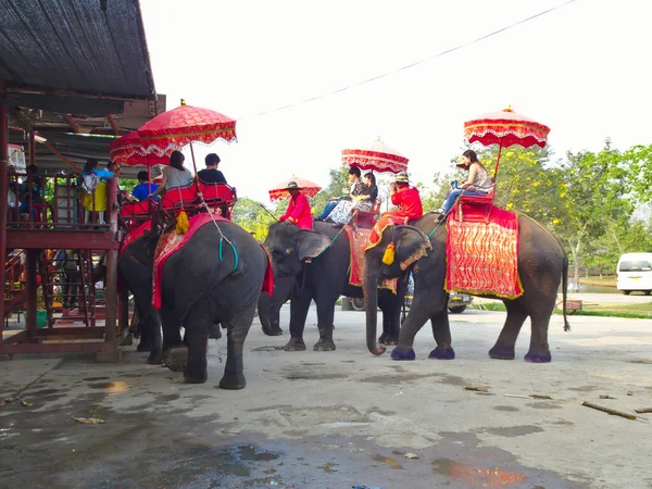 Ayutthaya Thailand Fevereiro 2019Ayutthaya Elephant Palace Royal Kraal Ayutthaya Thailand — Fotografia de Stock