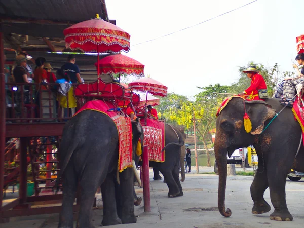 Ayutthaya Thailand Fevereiro 2019Ayutthaya Elephant Palace Royal Kraal Ayutthaya Thailand — Fotografia de Stock