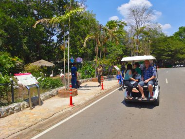 Nakhon Ratchasima Hayvanat Bahçesi Nakhon Ratchasima THAILAND-09 Mart 2019Turistler bisiklet ya da golf arabası kiraladı ve Nakhon Ratchasima THAILAND-09 Mart 2019 'ta tüm yolu yürümek için yürüdü..