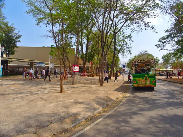 Nakhon Ratchasima Zoo Nakhon Ratchasima Thailand Maart 2019Toeristen Huren Fietsen — Stockfoto