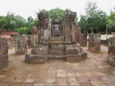 Yaz çiçeklerinde mor çiçek