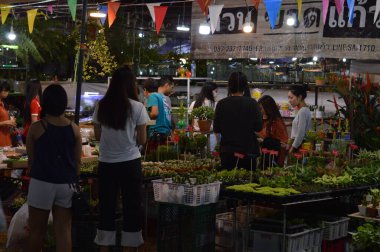 KHON KAEN THAILAND-24 HAZİRAN 2020 Tarım Fuarı Khon Kaen Üniversitesi Ağaç, tarım ürünleri ve tarım araçları satan bir dükkan olması durumunda.