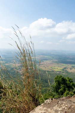Dağ manzarası, pirinç tarlalarıyla yerin çok üstünde görünüyor..