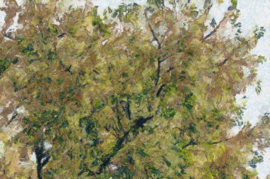 Ekose peştamallı çizimler, empresyonist bir resim tarzı yaratır..