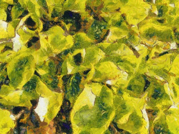 Green Busch Illustrations Schafft Einen Impressionistischen Malstil — Stockfoto